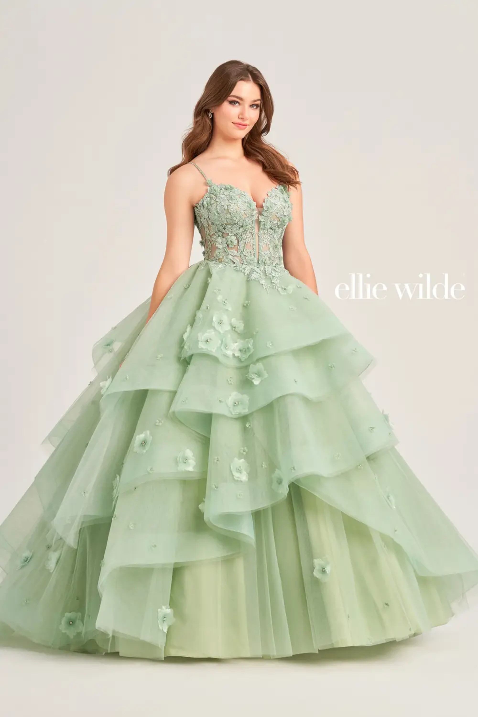 Full size EW35206 #$0 default Sage picture