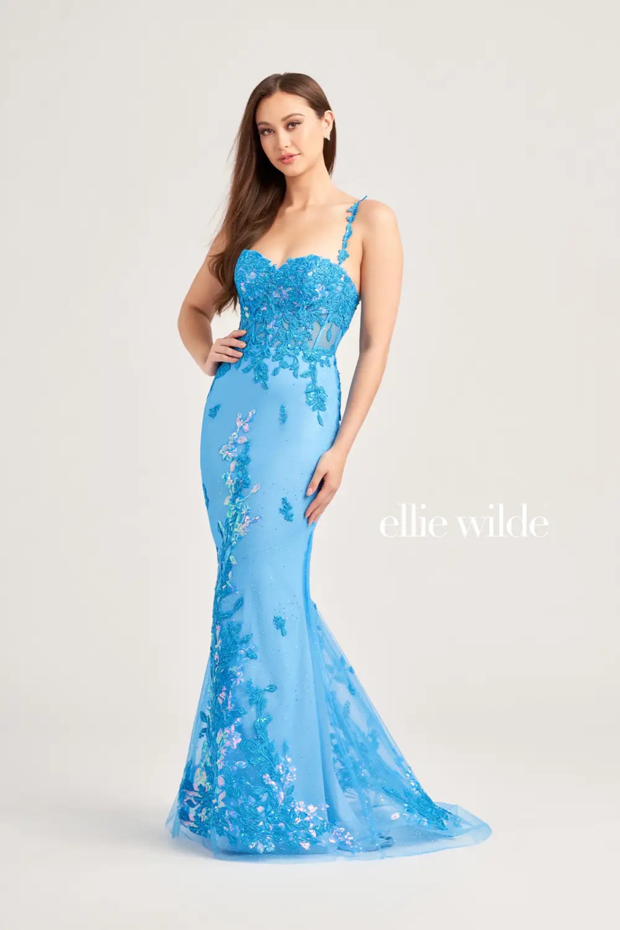 Full size EW35207 #$2 Ocean Blue picture