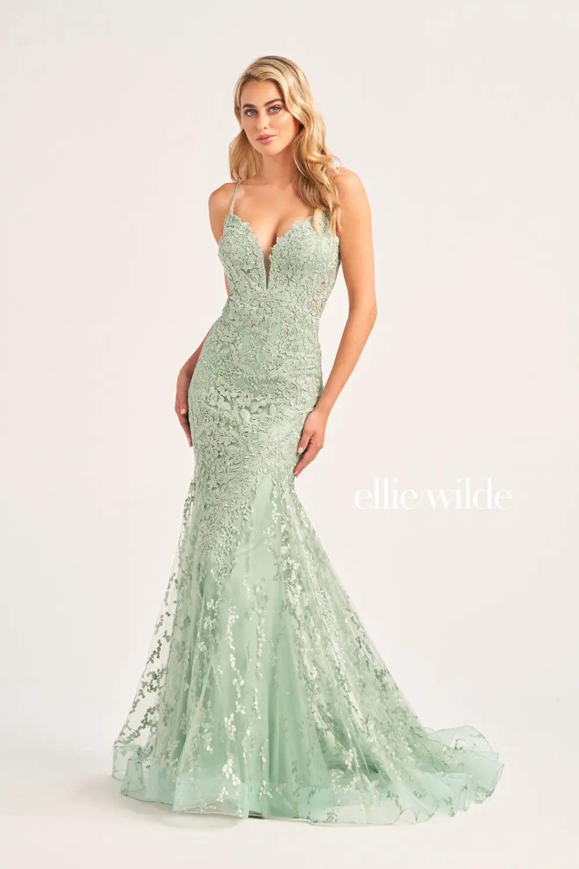 Full size EW35221 #$0 Sage picture