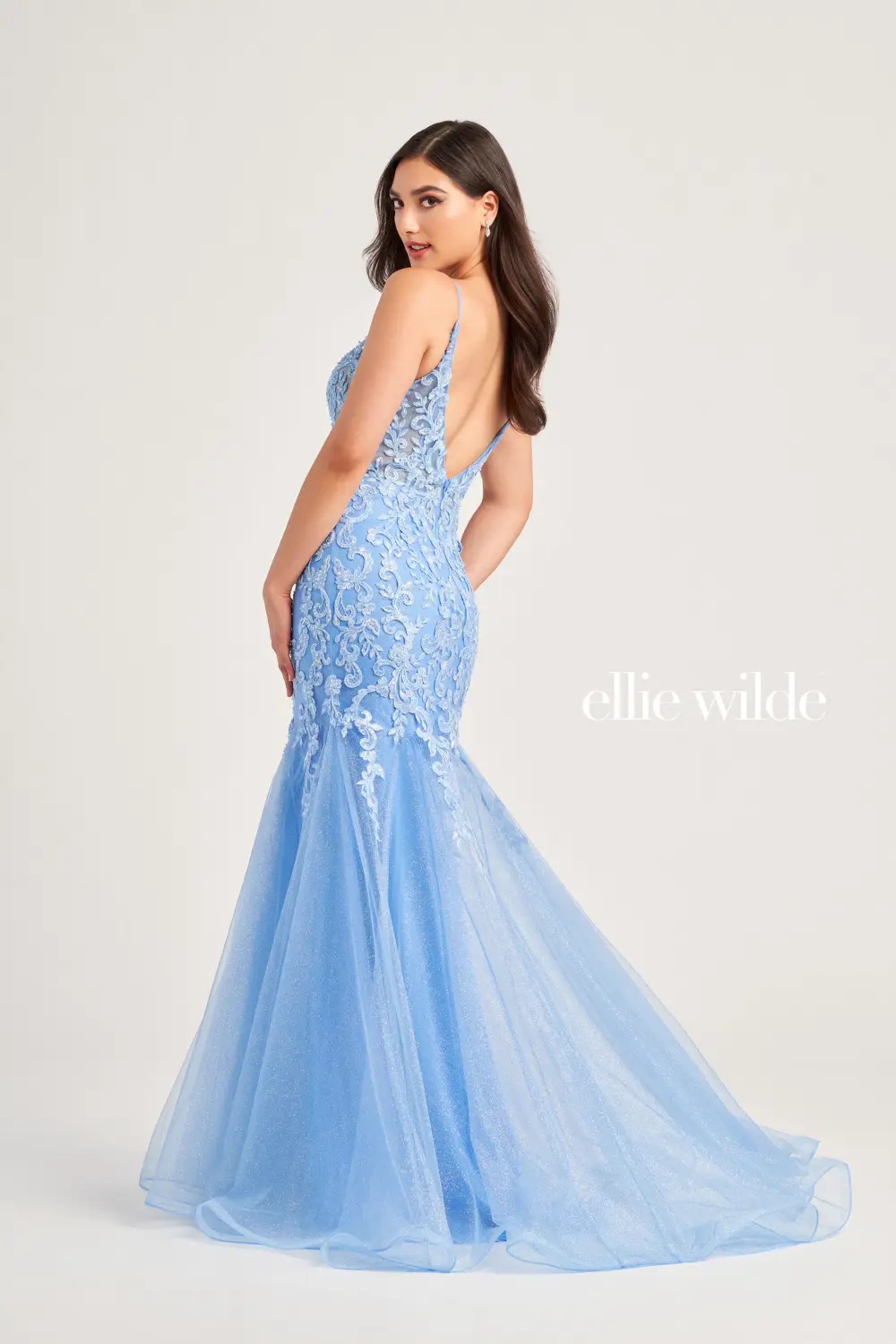 Full size EW35227 #$3 default Bluebell picture