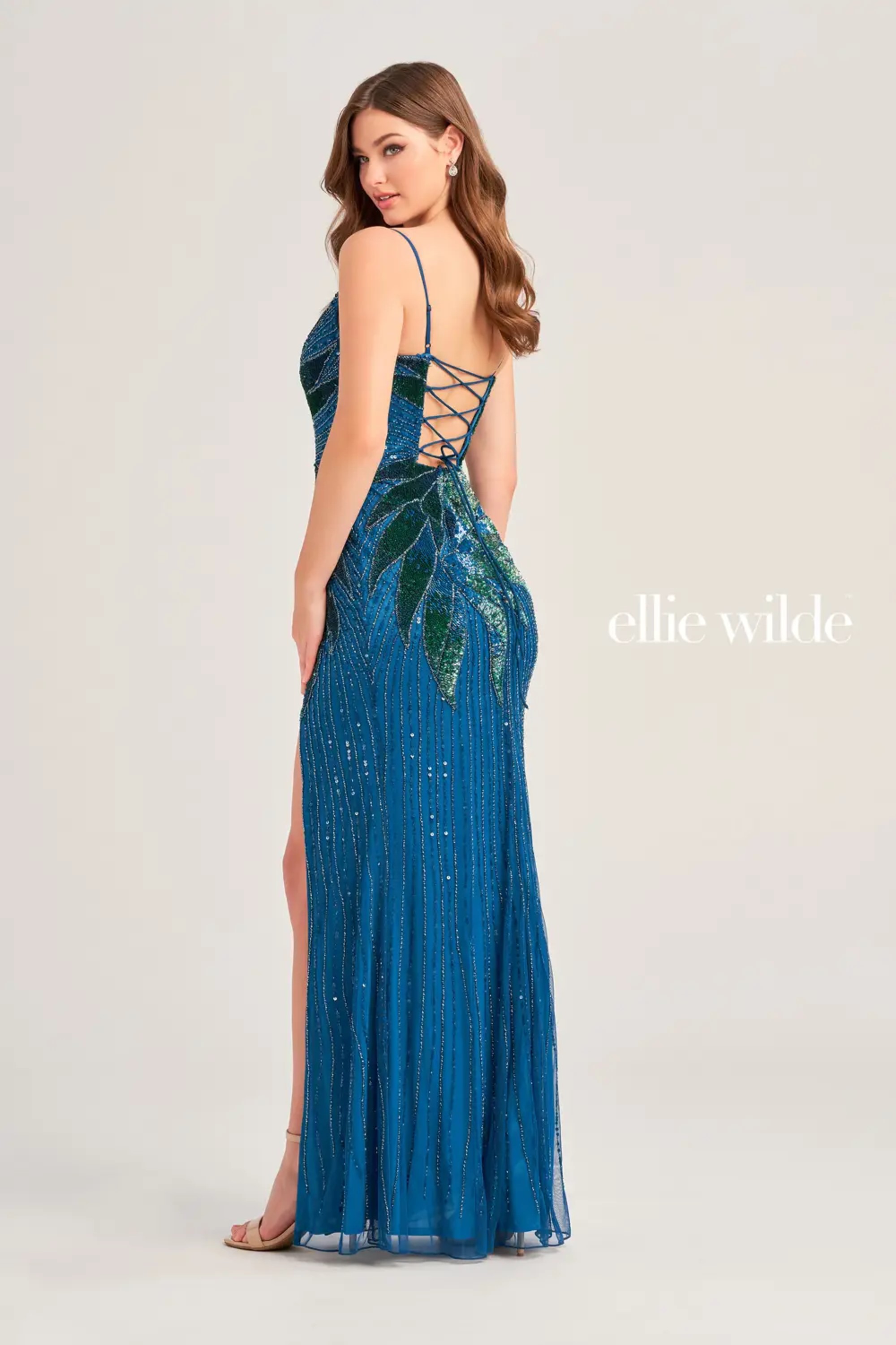 Full size EW35066 #$2 default Peacock picture